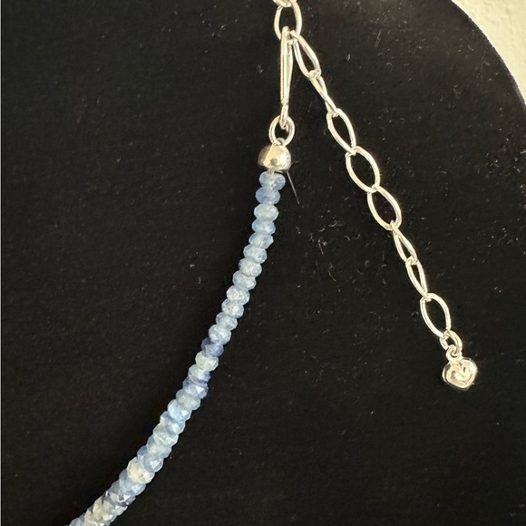 Jay King Blue Kyanite Necklace - Picture 6 of 8